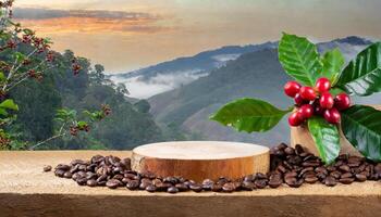 leeren Holz Podium umgeben durch Kaffee Bohnen mit Kaffee Pflanze mit rot Obst foto