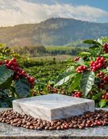 leeren Holz Podium umgeben durch Kaffee Bohnen mit Kaffee Pflanze mit rot Obst foto