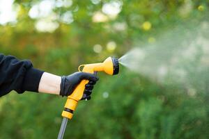 Arbeiten Bewässerung Garten von Schlauch. Hand mit Garten Schlauch Bewässerung Pflanzen, schließen hoch, verschwommen Hintergrund. Gartenarbeit Konzept foto