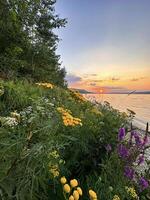 heiter Sonnenuntergang Über das Wolga Fluss mit ein Vordergrund von lebendig Wildblumen und kieselig Ufer, präsentieren natürlich Schönheit foto