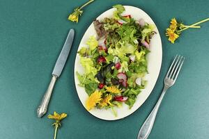 frisch Salat mit Löwenzahn. foto