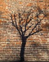 Baumschatten auf roter Backsteinmauer foto