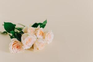 zärtlich Rose Blumen auf ein Rosa pech Pastell- Hintergrund. foto