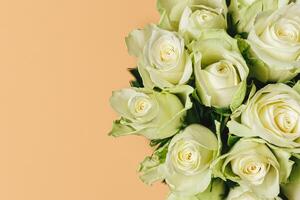 romantisch Strauß von Sahne Rosen auf Pastell- Pfirsich Hintergrund. foto