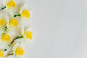 schön Blumen von Gelb Narzisse Narzisse auf ein Licht Gelb Hintergrund. foto