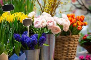 Körbe mit ein Vielfalt von Frühling Blumen - - Tulpen, Phlox, Begonien. Vitrine von ein heiter Blume Geschäft. foto