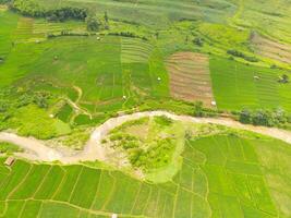 Aussicht von lokal Bauernhof beim das oben von das hügel. Antenne Aussicht von Reis Felder und Plantagen im cicalengka, bandung - - Indonesien. über. Landwirtschaft Industrie. Schuss im Drohne fliegend 100 Meter foto