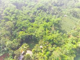 Vogel Auge Aussicht von tropisch Wald auf das Kante von das Stadt, Wald Das Funktionen wie ein Wasser Einzugsgebiet im das Stadt von Bandung, Westen Java Indonesien, Asien. natürlich Landschaft. oben Sicht. Antenne Schuss foto