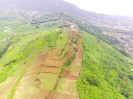 Antenne Aussicht von Gipfel Abonnieren hügel, Indonesien. Landschaft von ein Grün Hügel mit Plantagen. landwirtschaftlich Feld. über. landwirtschaftlich Industrie. Schuss von ein Drohne fliegend 100 Meter foto