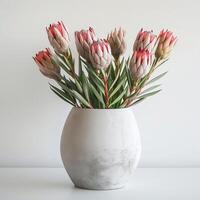 ein minimalistisch Beton Vase hält ein auffällig Protea Strauß. foto