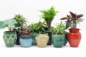 Keramik Töpfe gefüllt mit bunt Haus Pflanzen. foto