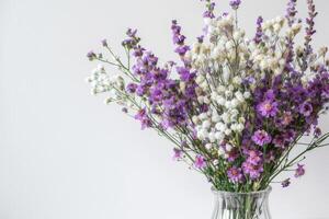 schön vereinbart worden statice und Caspia Blumen im ein Vase. auf ein Weiß Hintergrund foto