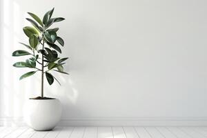ein auffällig Gummi Baum angezeigt im ein minimalistisch Topf. foto