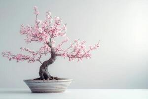 Mini Kirsche Baum im ein dekorativ Topf es hat zart Rosa Blumen. foto