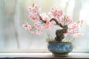 Mini Kirsche Baum im ein dekorativ Topf es hat zart Rosa Blumen. foto