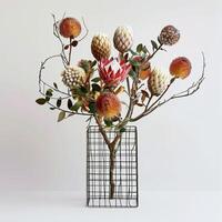 zeitgenössisch Drahtmodell Vase Anzeigen ein Cluster von exotisch Protea Blumen. foto