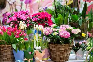 Körbe mit ein Vielfalt von Frühling Blumen - - Tulpen, Phlox, Begonien. Vitrine von ein heiter Blume Geschäft. foto