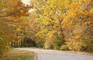 schön Natur Herbst Landschaft. Landschaft Aussicht auf Herbst Stadt Park mit golden Gelb Laub im wolkig Tag foto