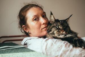 entspannt Momente mit ein Maine Waschbär Katze foto