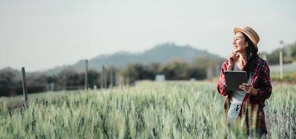 optimistisch Farmer hält ein Tablette und sieht aus nachdenklich in das Entfernung im ein beschwingt Weizen Feld. foto