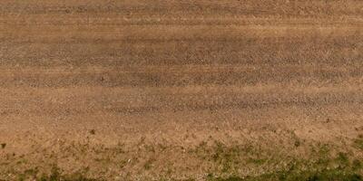 Aussicht von über auf Textur von trocken schlammig Straße mit Traktor Reifen Spuren im Landschaft foto