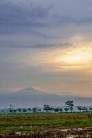 Panorama- Aussicht von Reis Felder nach Ernte mit das Sonnenaufgang im das Hintergrund Nächster zu das Berg. isoliert mit leeren Raum. foto