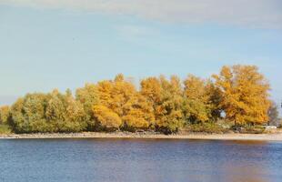 schöne Herbstlandschaft mit See und mehrfarbigen Bäumen. malerischer Ort mit See und hohen Bäumen foto