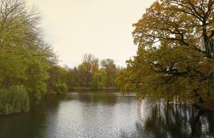 schön Natur Herbst Landschaft mit See. Landschaft Aussicht auf Herbst Stadt Park mit golden Gelb Laub im wolkig Tag foto