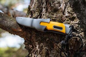 Bushcraft Messer auf das Hintergrund von das Rinde von das Baum, Camping Ausrüstung Wandern Messer zum Schneiden brot, Gelb handhaben, grau Mantel, Plastik Abdeckung. foto