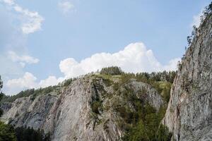grau Felsen von das Berg Landschaft gegen das Hintergrund von ein Weiß Wolke im das Himmel, ein Berg Bereich, ein Felsen Mauer. Natur von Russland, ein Sommer- Tag im das Wald. foto