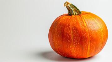 Kürbis im Orange Farbe Darstellen Halloween und Herbst Ernte mit ein frisch saisonal Kürbis Beschwerde foto