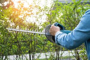 Frau nehmen Pflege und wachsend Pflanzen, Hobby Pflanzen Zuhause Garten, Zier Beschneidung. foto