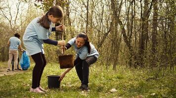 Mutter und Tochter Mannschaft oben zu Pflanze Neu Bäume im das Wald, schützen das natürlich Lebensraum und Ökosystem. Familie von Aktivisten Kampf Natur Erhaltung, graben Löcher zum Sämlinge. Kamera b. foto