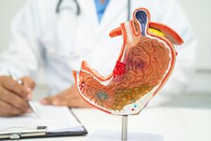 Bauch Krankheit, Arzt mit Mensch Anatomie Modell- zum Studie Diagnose und Behandlung im Krankenhaus. foto