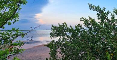 Rosa See im Kuba, Cayo Kokos Insel. es hat es ist Farbe weil von das Plankton. Natur foto