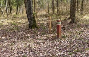 rot Pole im das Wald Markierung Grenzen von das Gebiet. Konzept foto