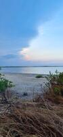 Rosa See im Kuba, Cayo Kokos Insel. es hat es ist Farbe weil von das Plankton. Natur foto