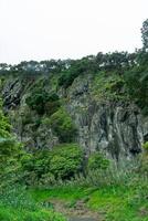 natürlich vulkanisch Felsen Mauer geschmückt mit üppig Vegetation, Erfassen das robust Schönheit von Terceira Insel, Azoren. foto