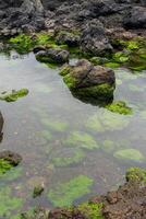 idyllisch klein See eingebettet unter vulkanisch Felsen Formationen auf Terceira Insel, Azoren. foto