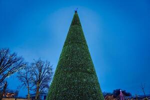 künstlich Weihnachten Baum im Girlanden beim Dämmerung. foto