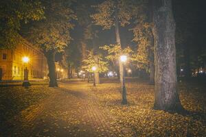Nacht Park im Herbst mit gefallen Gelb verlässt.Stadt Nacht Park im golden Herbst mit Laternen, gefallen Gelb Blätter und Ahorn Bäume. Jahrgang Film ästhetisch. foto