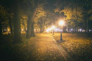 Nacht Park im Herbst mit gefallen Gelb verlässt.Stadt Nacht Park im golden Herbst mit Laternen, gefallen Gelb Blätter und Ahorn Bäume. Jahrgang Film ästhetisch. foto