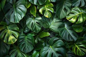 kreativ Layout gemacht von Grün Palme Blätter und es Schatten. eben legen. Sommer Hintergrund. foto
