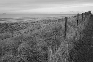 eingezäunt Dünen auf das Küste von de haan, Belgien foto