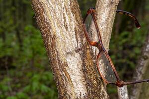 hat verloren Brille hängend im Baum Gabel foto