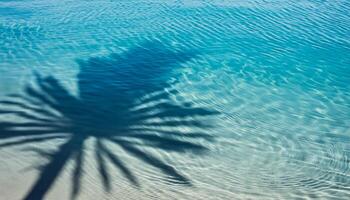 Schatten von Palme Blätter auf plätschern Blau Wasser Oberfläche, tropisch Hintergrund foto