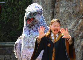 Osaka, Japan auf Oktober 1, 2023. usj Harry Töpfer Bereich magisch Tiere Hippogriff Show foto