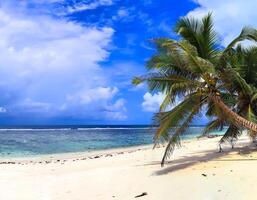 Atemberaubendes hochauflösendes Strandpanorama, aufgenommen auf den paradiesischen Inseln der Seychellen foto