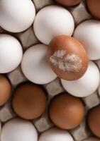 Ei Hintergrund. Weiß und braun Eier im ein Tablett. Protein Lebensmittel. Öko organisch. foto