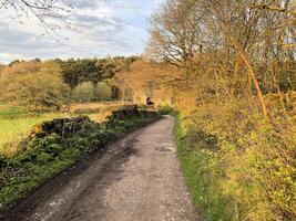 ein blick auf die landschaft von cheshire in peckforton foto